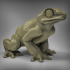 Giant Frogs image
