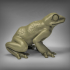 Giant Frogs image