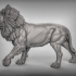 Lions image