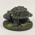 Giant Snapping Turtles print image