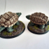 Giant Snapping Turtles print image