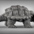 Giant Snapping Turtles image