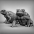 Giant Toads image