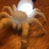 Jumping Spider Light image