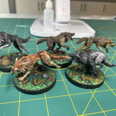 Picture of print of Forest bases