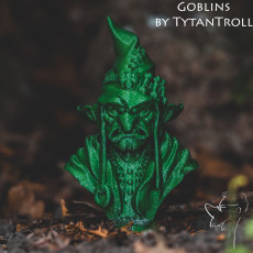 Picture of print of Goblin Wizard Bust [Pre-Supported]