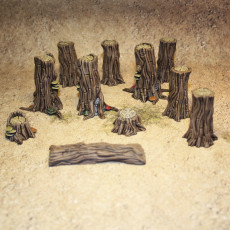Picture of print of Tree stumps
