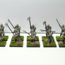 Picture of print of Paladin Axemen