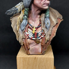 Picture of print of Native American Bust Dieser Druck wurde hochgeladen von Yaceq