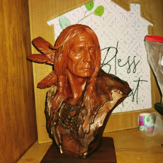 Picture of print of Native American Bust