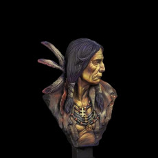 Picture of print of Native American Bust
