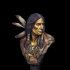 Native American Bust print image