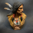 Native American Bust print image
