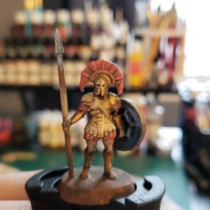 Picture of print of Realm of Eros Captain - 3D printable miniature – STL file