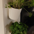 Wall mounted flower pot image