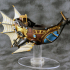 Airship - Feather Class Skycoach print image