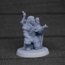 Picture of print of The elf ranger