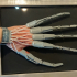 Articulated finger extensions image