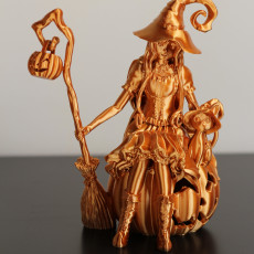 Picture of print of Zellae The Witch Esta impresión fue cargada por 3DPrintBeginner