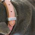 dog collar loop image