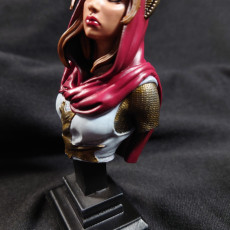 Picture of print of Female Crusader bust