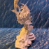 Mermaid Angler print image