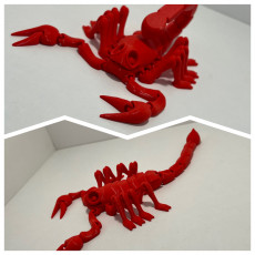 Picture of print of Flexi Print-in-Place Scorpion