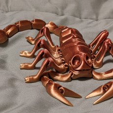 Picture of print of Flexi Print-in-Place Scorpion