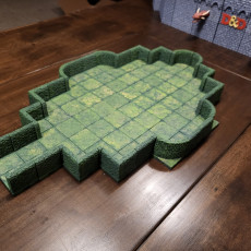 Picture of print of AEHDGE01 - Hedge Mazes Core Set
