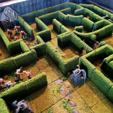 Picture of print of AEHDGE01 - Hedge Mazes Core Set