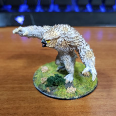 Picture of print of Owlbear Claw Attack / Forest Beast / Owl Bear Hybrid