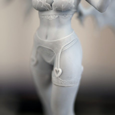 Picture of print of 18K Anatomy - Succubus