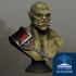 ORC BUST Free 3D print model image