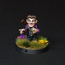 Picture of print of Handsome Gnome Bard