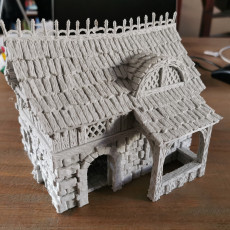 Picture of print of Leichheim kickstarter Teaser model Medieval citizen's building This print has been uploaded by Siebe Brockötter