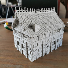 Picture of print of Leichheim kickstarter Teaser model Medieval citizen's building This print has been uploaded by Siebe Brockötter