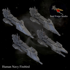 Human Navy