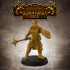 Level Up Paladins - Male (3x modular 32mm scale miniatures) PRESUPPORTED image