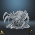 Giant Spider on web image