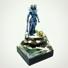 Picture of print of Auril - Second Form - Tabletop Miniature