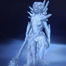 Picture of print of Auril - Second Form - Tabletop Miniature