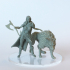 Barbarian Woman - Runir & wolf - 35mm scale print image