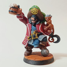 Picture of print of Madolff - Male Dwarf PIrate Captain - 32mm - DnD