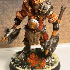 Picture of print of Einar - VIking - 32mm - DnD