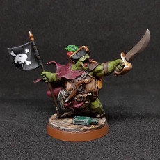 Picture of print of Turtlefolk Pirate