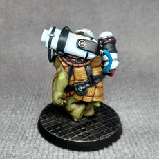 Picture of print of Turtlefolk Artificer