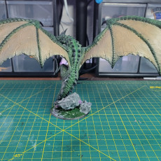 Picture of print of Wyvern