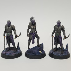 Picture of print of Drow Warrior Female - Expedition to the Underworld - Loot Studios This print has been uploaded by Jay Peake