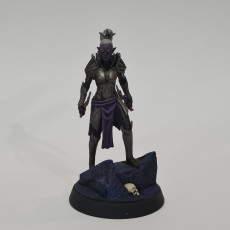 Picture of print of Drow Warrior Female - Expedition to the Underworld - Loot Studios This print has been uploaded by Jay Peake