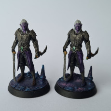Picture of print of Drow Warrior Male - Expedition to the Underworld - Loot Studios